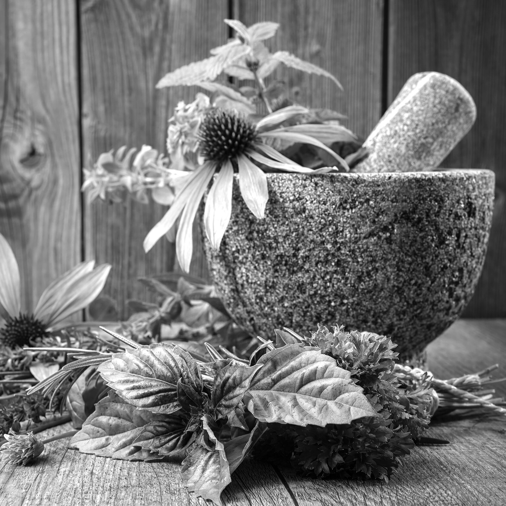 Healing herbs with mortar and bottle of essential oil on wood. Alternative medicine concept